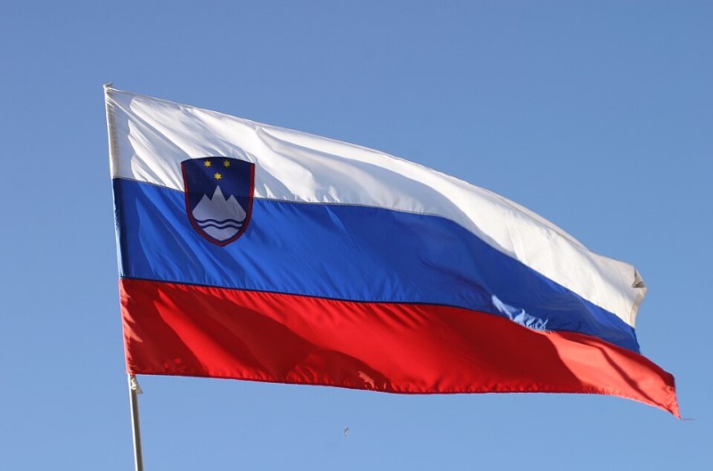 Zastave Slovenije za dom, podjetje in posebne dogodke